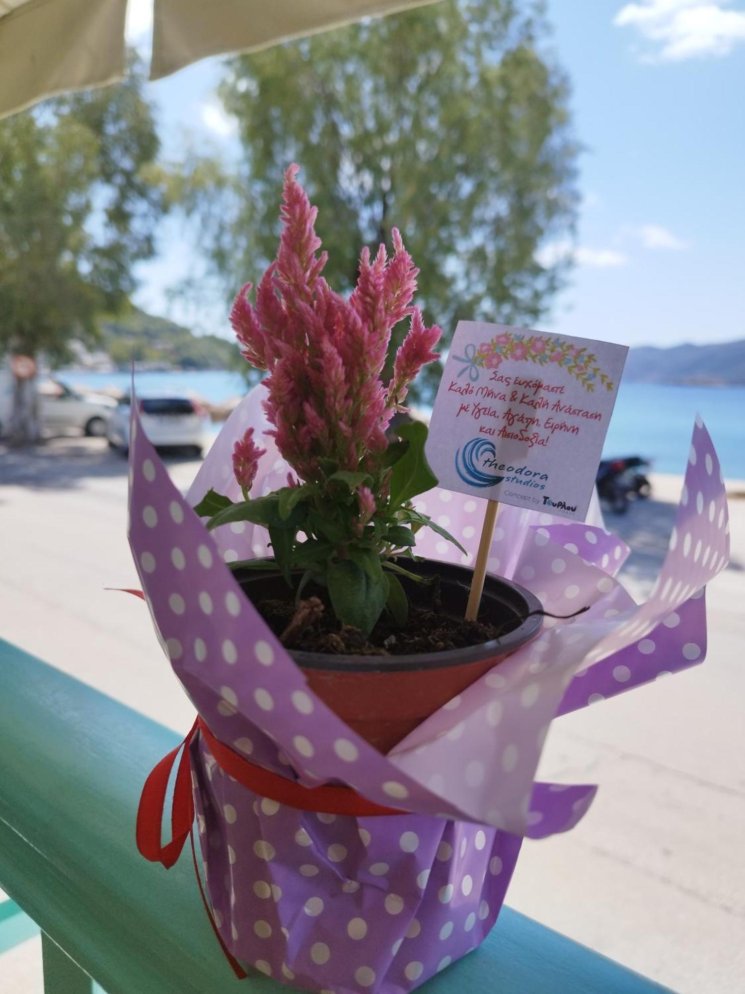 Theodora Rooms Poros Town Dış mekan fotoğraf